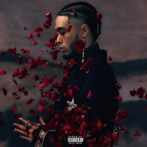 包头窗帘杆生产厂家用小狼营销导航
