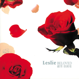 包头窗帘杆生产厂家用小狼营销导航
