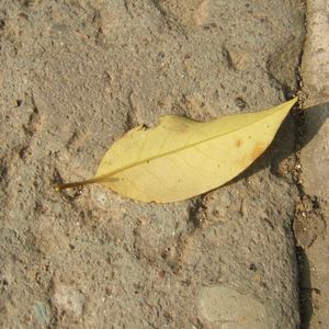 包头窗帘杆生产厂家用小狼营销导航
