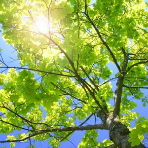 包头窗帘杆生产厂家用小狼营销导航
